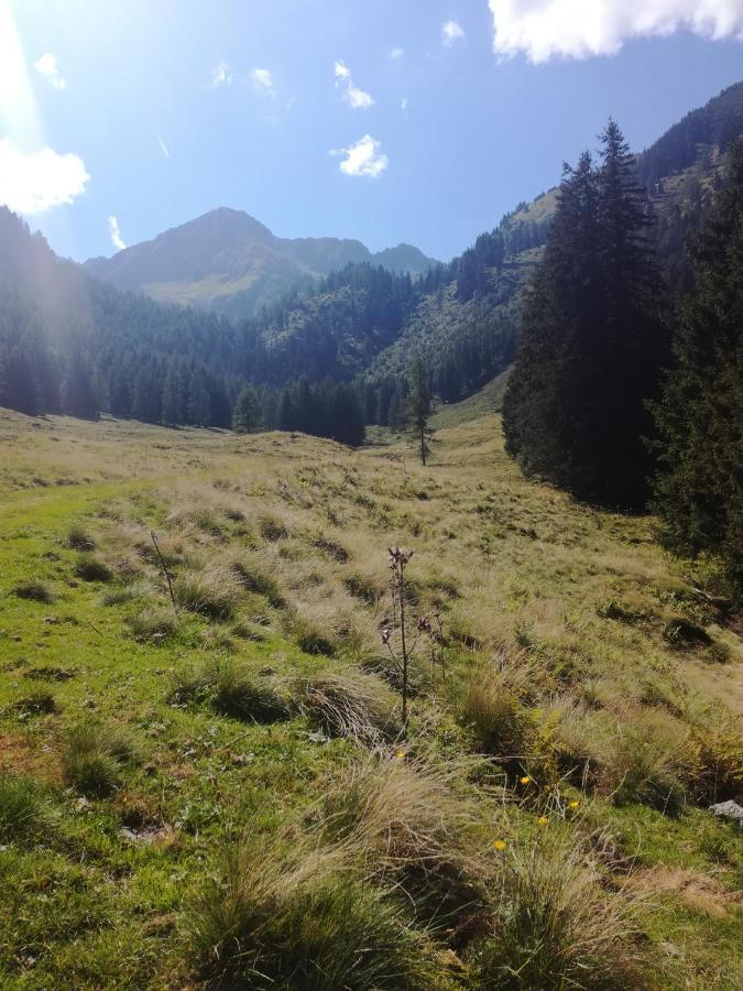 Appartement Almzeit Mit Infrarotkabine Grosssolk Luaran gambar